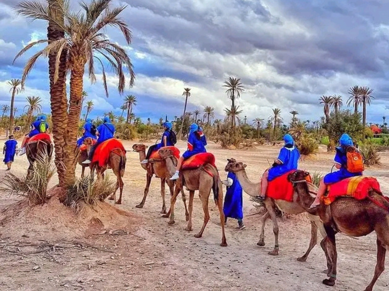 Balade Dromadaire palmeraie Marrakech